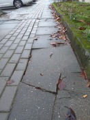 Foto: Gehwegplatten gebrochen 